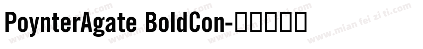 PoynterAgate BoldCon字体转换